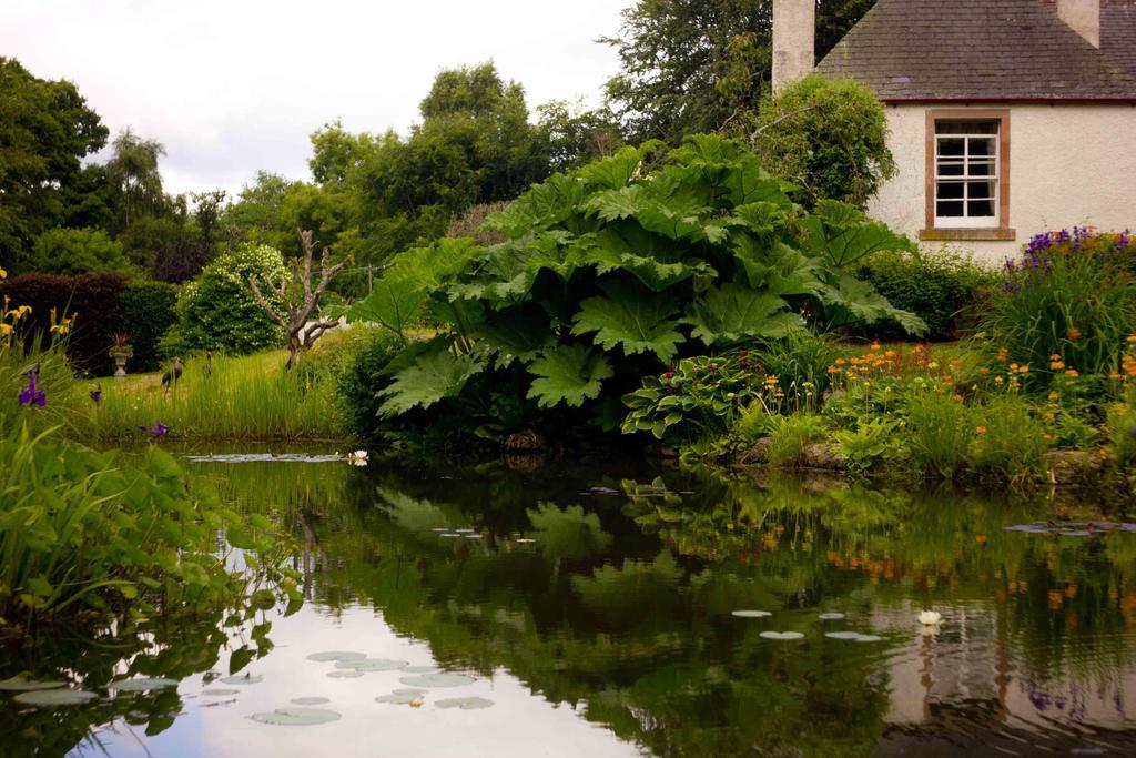 The Dower House Hotel Muir of Ord Habitación foto